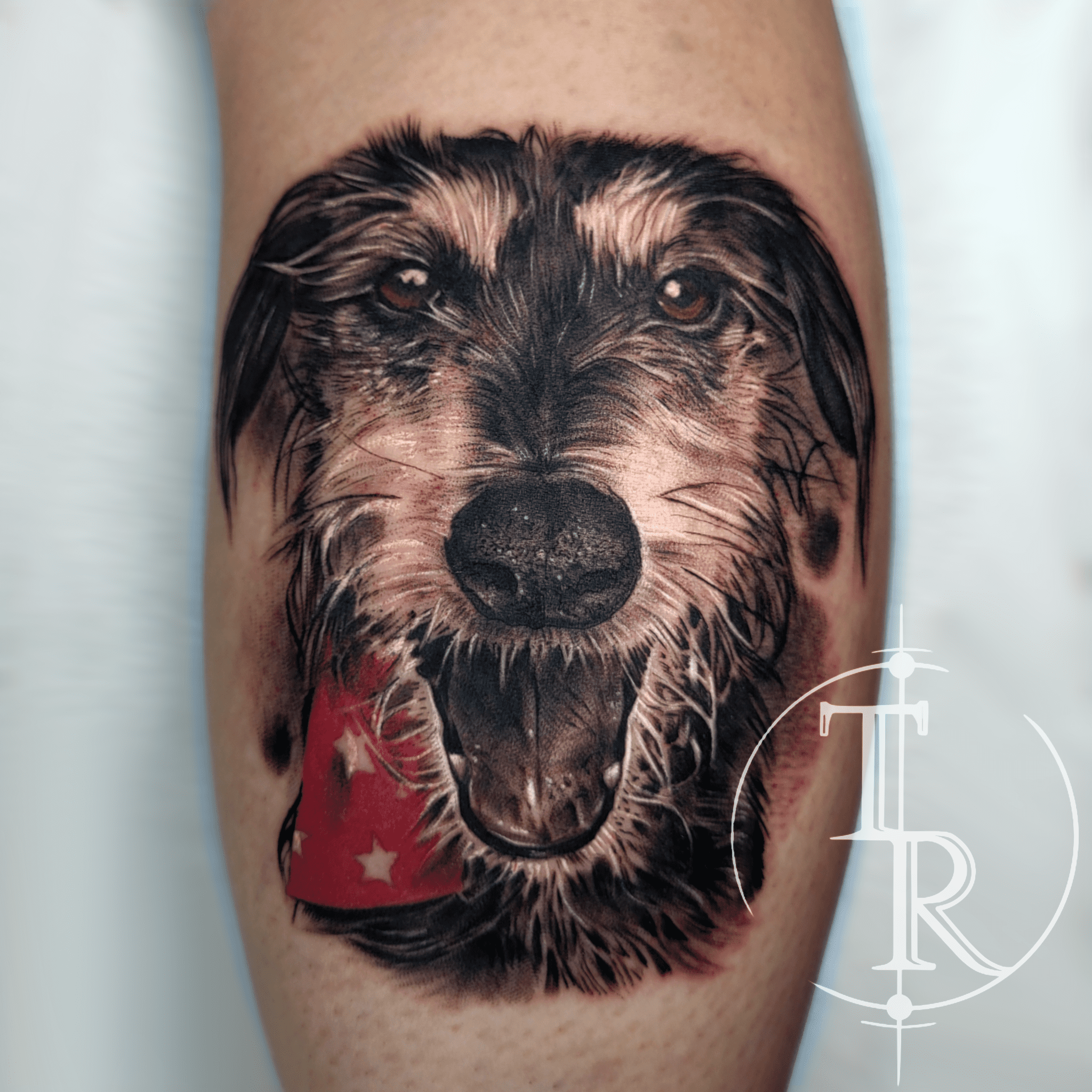 Why Tattoos Are So Powerful